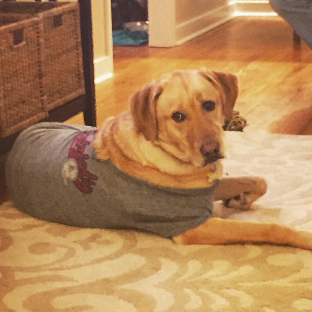 TuckProblems's tweet image. #GoPats #iguess?