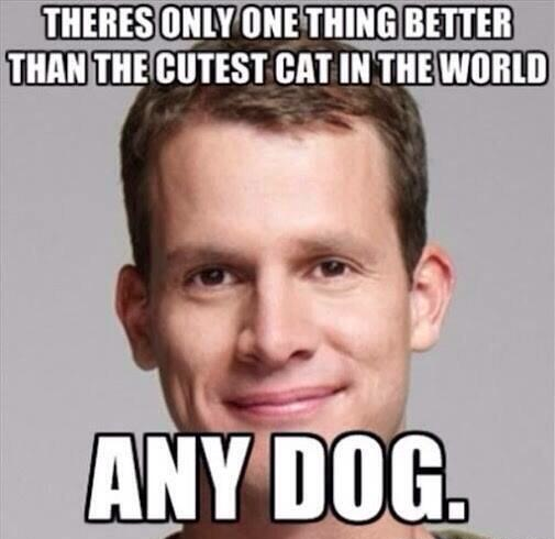 CauseWereGuys's tweet photo. Yes http://t.co/LhtVsPm1Ib