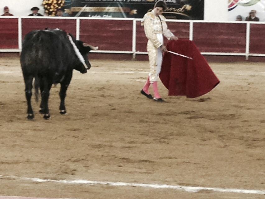 acirfiestabrava's tweet photo. 6º Leon @FerminArmillita 2 Orejas @etmsaoficial @FITauromaquia @serialtaurinole http://t.co/CgXTSIpNwZ