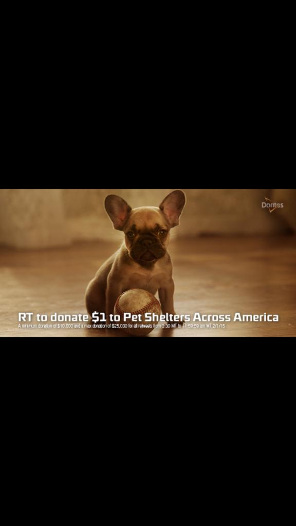 ClevelandAPL's tweet image. Keep retweeting @Doritos #PuppyDad! $1 for each RT donated to Pet Shelters Across America!