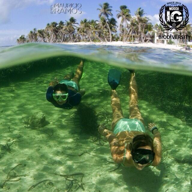 ig_mexico_'s tweet photo. #ig_mexico #instagram #majahual #quintanaroo #mexico http://t.co/aBOTQkzqVe