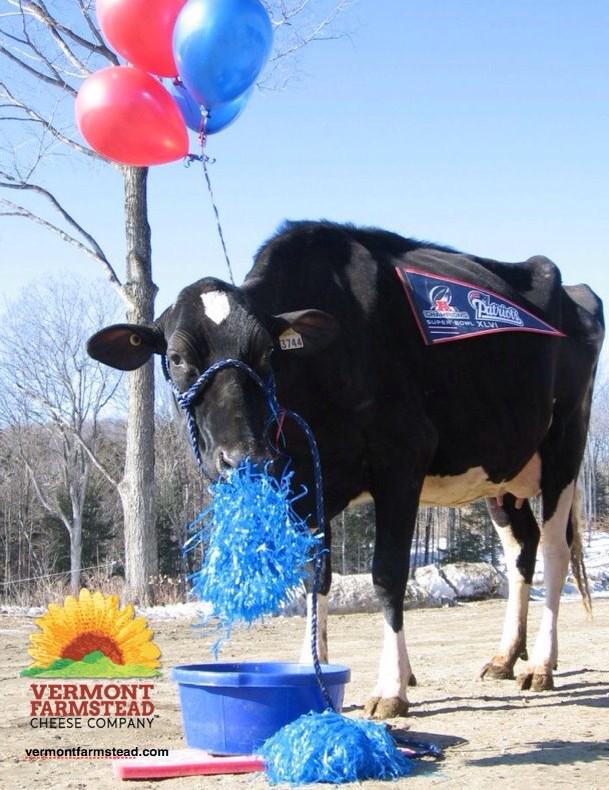 Vermont Farmstead tweet media