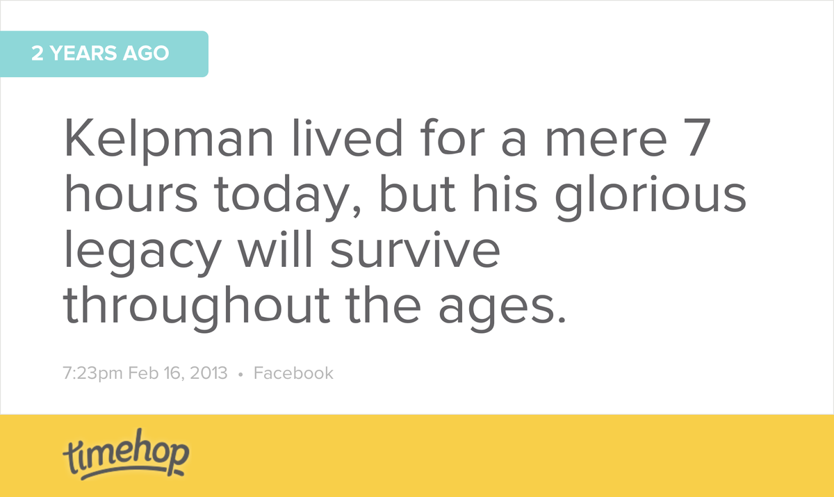 hellhoundcat's tweet image. #kelpman timehop.com/c/fs:672742062…