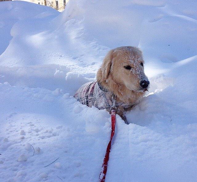 Down about the snow?! Shop <a href="/boohoo/">boohoo</a> for cozy sweaters, warm hats, and more! #bcboohoo #mondays