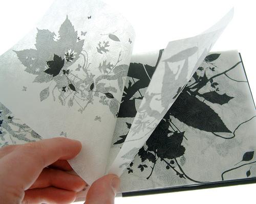 eyemagazine's tweet photo. Lovely, http://t.co/KclCCQZ68g 
how Tony Hart inspired @NonFormatTypes’ design for @MaraCarlyle’s CD
#Eye57 http://t.co/ANqgQn7k2p