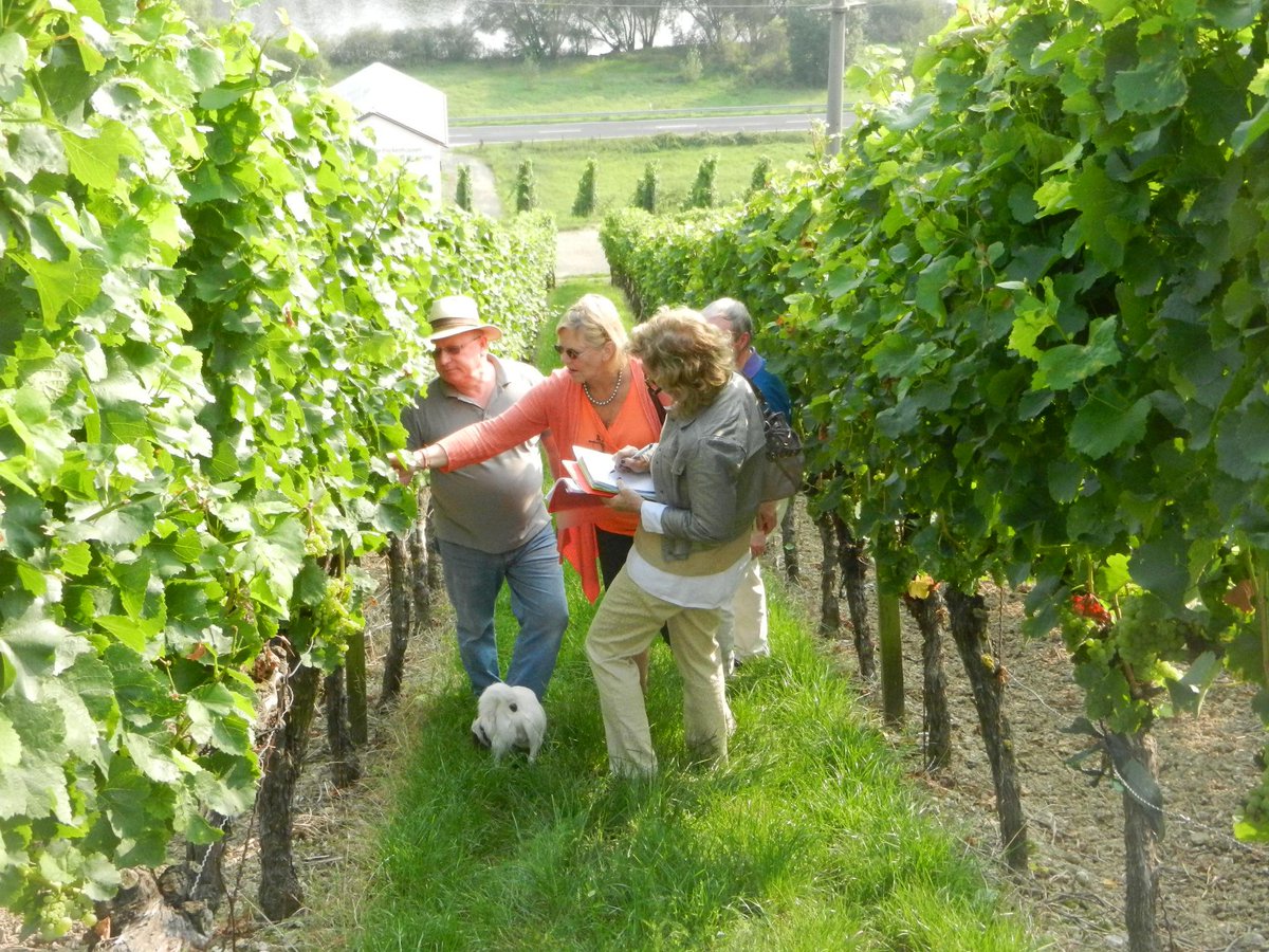 Theater tickets get scarce!!! GERMAN WINE &amp; ART TOUR 2015:  bit.ly/1CAsvV6. Book now: bit.ly/1MqlZs