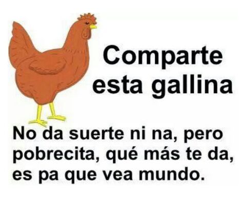 sergiogandullo's tweet photo. http://t.co/ErTLQ3B5Cv