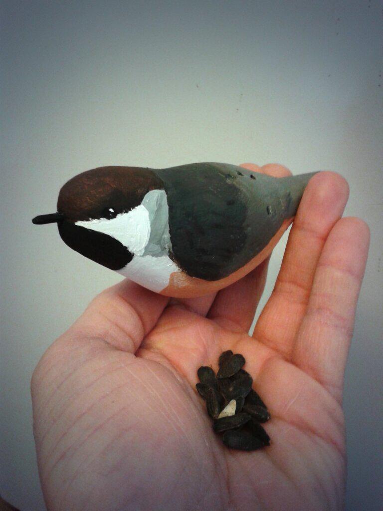 salamandertrack's tweet photo. When life gives you #boreal weather, make a Boreal Chickadee. #toocoldtoplayoutside http://t.co/jmyHHb7Enn