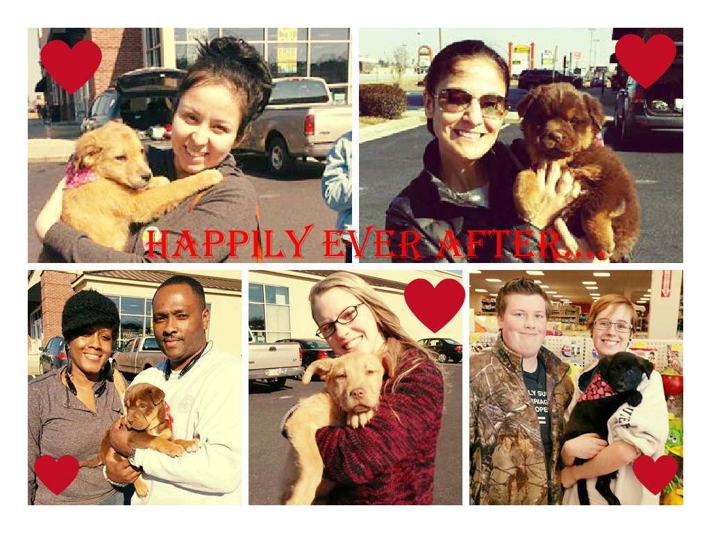 FAR_DogRescue's tweet photo. Great adoption event!! Five adoptions: Asha, Jake, Beast, Ra-Lee, and Barnie #happytails #petadoption #fureverafter http://t.co/r72Ch8vKOC