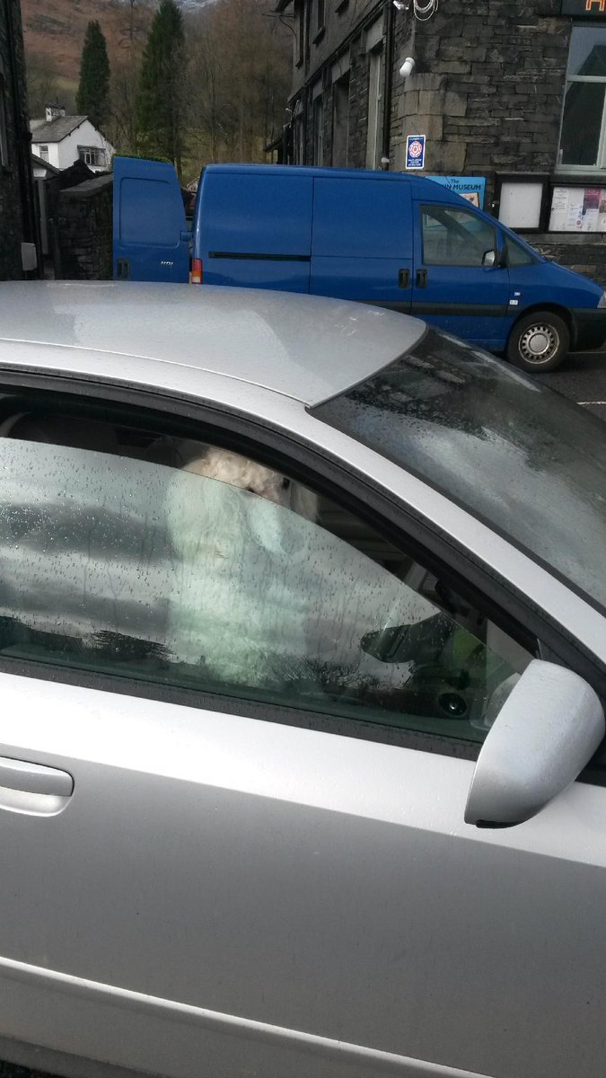 SouthLakesPol's tweet photo. Unusual driver stopped @Coniston today: no licence held and refused to answer any questions! #pcso5319 http://t.co/65iP43J7aF