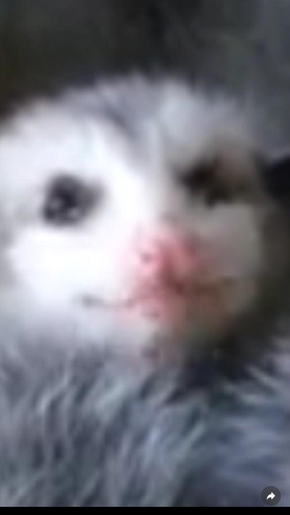 Avely (@avelyma) on Twitter photo 