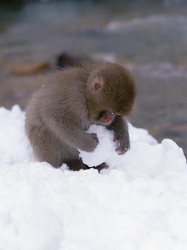 Attic Capital tweet media