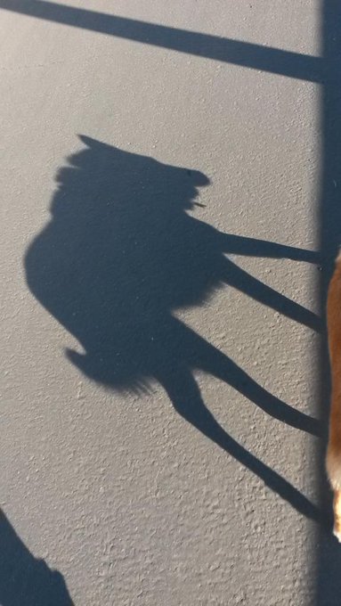 Molly monster! http://t.co/QIOeb0zlrf<a href="/tag/mvsales"class="tags"><span>#mvsales</span></a>