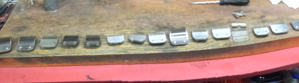 BillRepka's tweet image. This #sherwoodpark #veterinary clinic opted for #pickupanddelivery for their dull #clipperblades #yeg #grindit.net