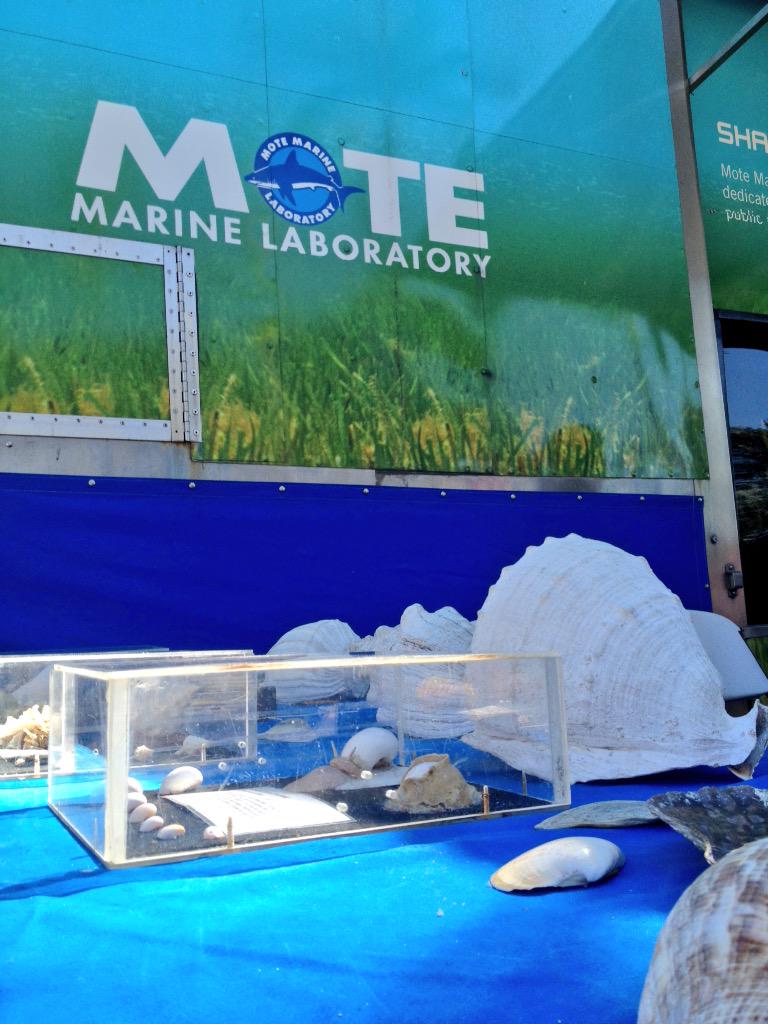 LeeSchoolsEE's tweet photo. Don't forget to check out the outdoor exhibitors at STEMtastic Day of Discovery. #LeeSTEM http://t.co/2fcha4Vswm