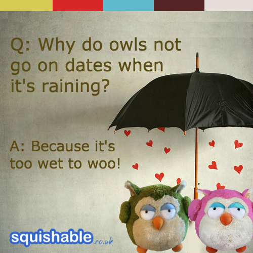 SquishableUK's tweet image. Q: Why do owls not go on dates when it's raining?

A: Because it's too wet to woo!

Happy Valentine's Day!