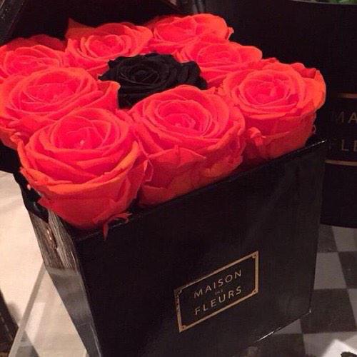 CamDallasSC's tweet image. Okay Hi Princess I don't know what to say but @LindsayDemSC Here's a few Gifts👀