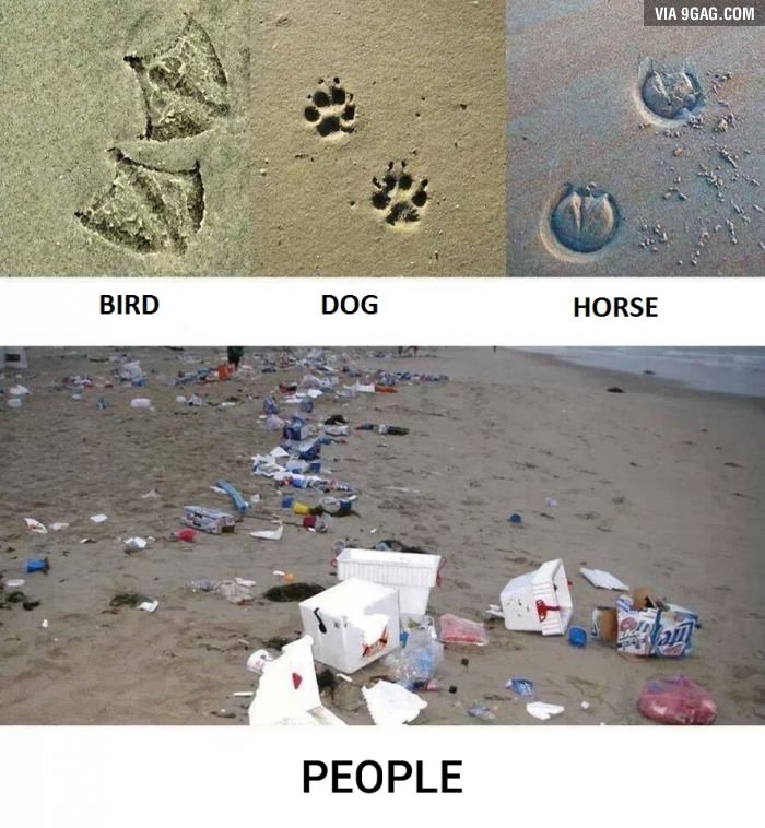 "Footprints"
9gag.com/gag/arpwq2X?re…