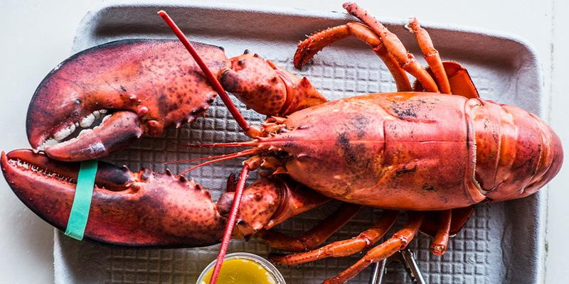 okezonenews's tweet photo. Hindari Makan Lobster saat Kencan #ExperienceTheZone http://t.co/LtaokDcwir http://t.co/Zqtp77If5d