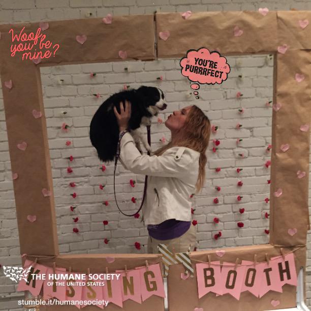 Happy Valentine's Day! Spreading love this #ValentinesDay thanks to <a href="/HumaneSociety/">Humane World for Animals</a> #HSUSsnaps stumble.it/HumaneSociet