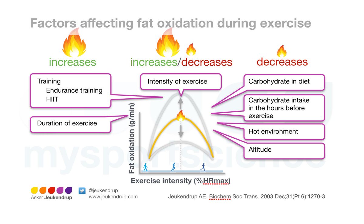 Promote fat oxidation