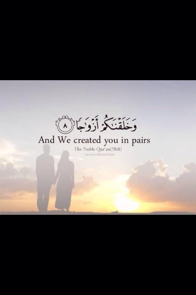 أحمد On Twitter Wasim Dr And We Created You In Pairs Quran Http T Co Az71tshflu Twitter