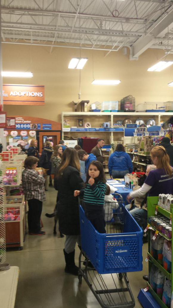 Adoption event in full swing.  #inspiredbypets #eastpetm <a href="/JulzLawrence/">Julz Lawrence </a>