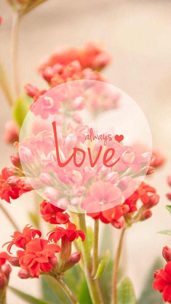 When nothing else is working, there is ALWAYS #LOVE! #JoyTrain #Joy #Peace #Inspiration #kjoys RT @ladell40