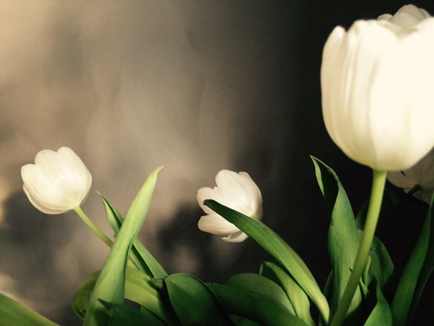 Mooi! 😍“<a href="/betuwseschilder/">De Betuwse Schilder</a>: #kalkverf #pureandoriginal #riversilt #landelijkwonen #landelijk  <a href="/pure_original/">Pure & Original</a> ”