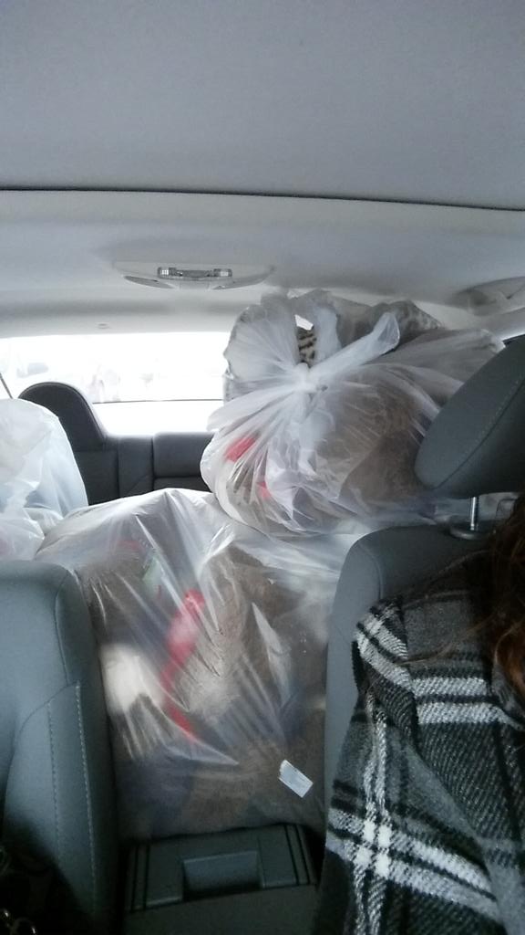 ShepleyTheresa's tweet photo. Donations to the children at Windsor Regional Hospital yesterday.  @ThatJenKelly @PetSmart923 http://t.co/g4XJLG6v2a