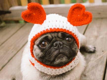 Happy Valentine's Day