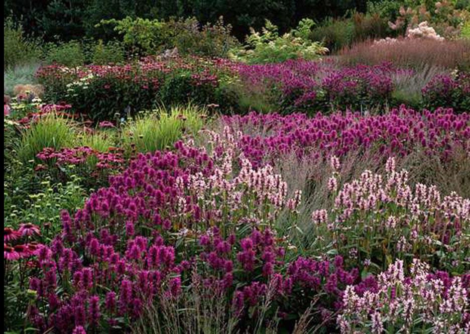 negotiatingwith's tweet photo. Gardens are not a luxury, they are essential. http://t.co/ryTphTx3Be