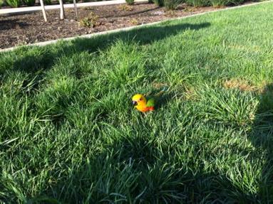 Embedded image permalink