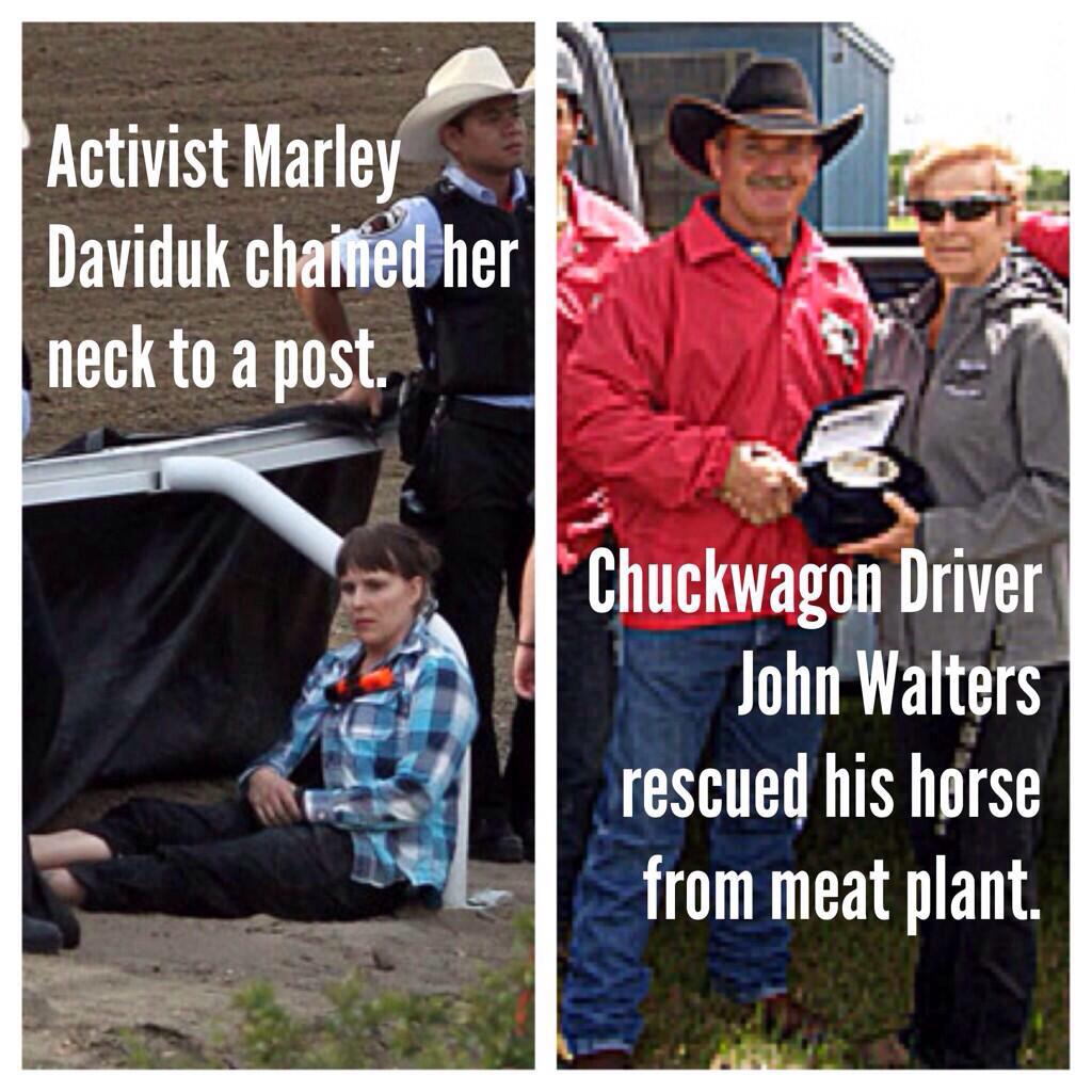 rodeoguide tweet media