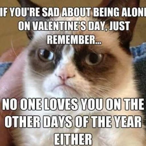 267Eb's tweet photo. Happy VDay u Sucka 4 Luv A$$ Tricks! #ShareTheLove #FRAUDALIE #ManMadeHoliday http://t.co/FkrExIpgPb