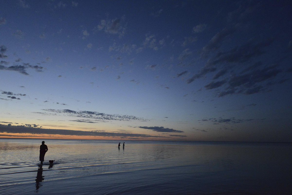 Scott McFarlane tweet media