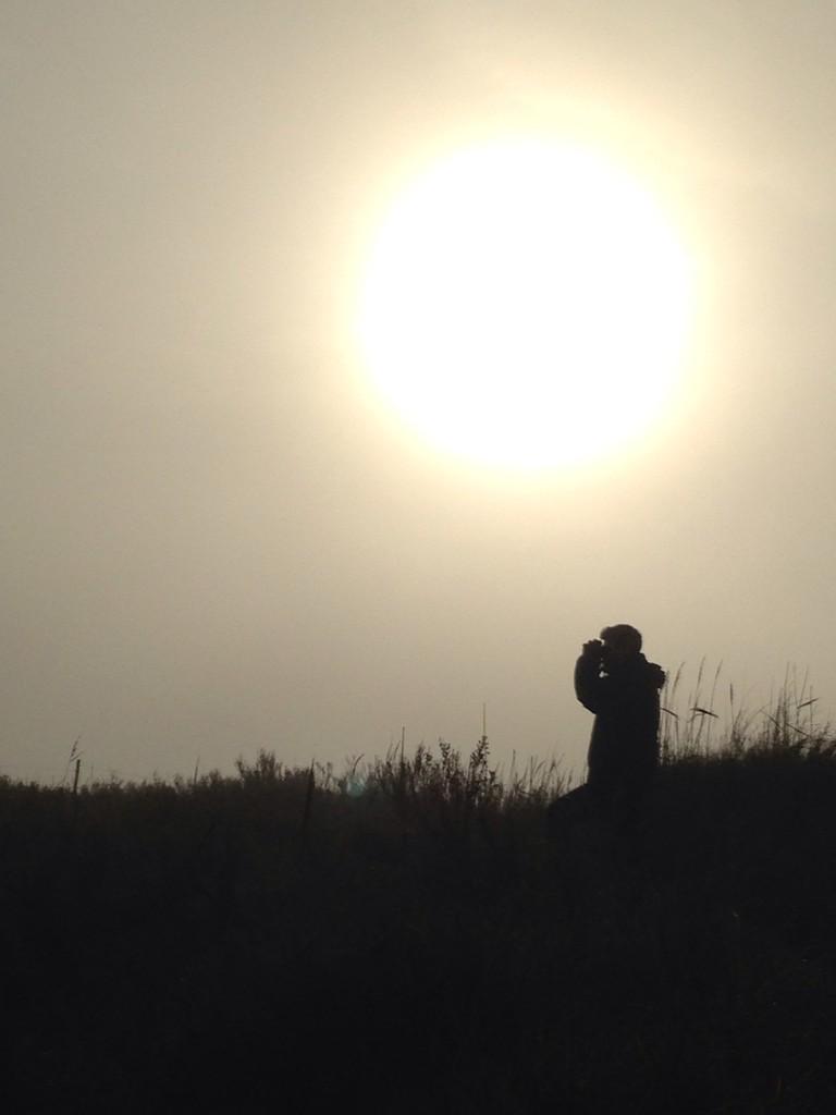 Fantastic day #twitching at <a href="/Natures_Voice/">RSPB</a> #Titchwell with <a href="/CreightonJim/">Jim Creighton</a> #NorthNolfolk #Birdwatching
