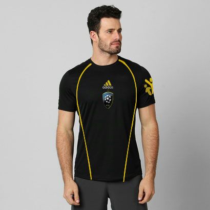 witraelser tweet media