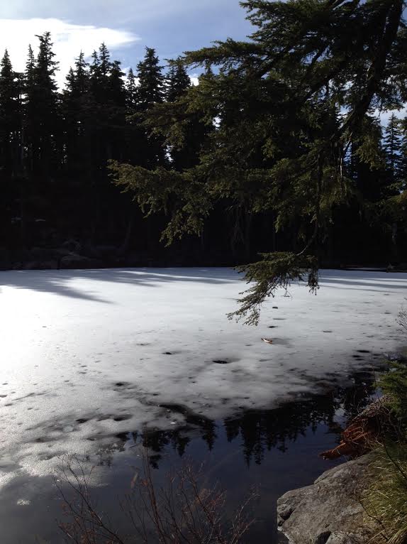 LiveLoveBActive's tweet photo. Active Date Suggestion - Mason Lake Hike - check it out!  http://t.co/KYCDeqZVtl http://t.co/YRRpSglftv
