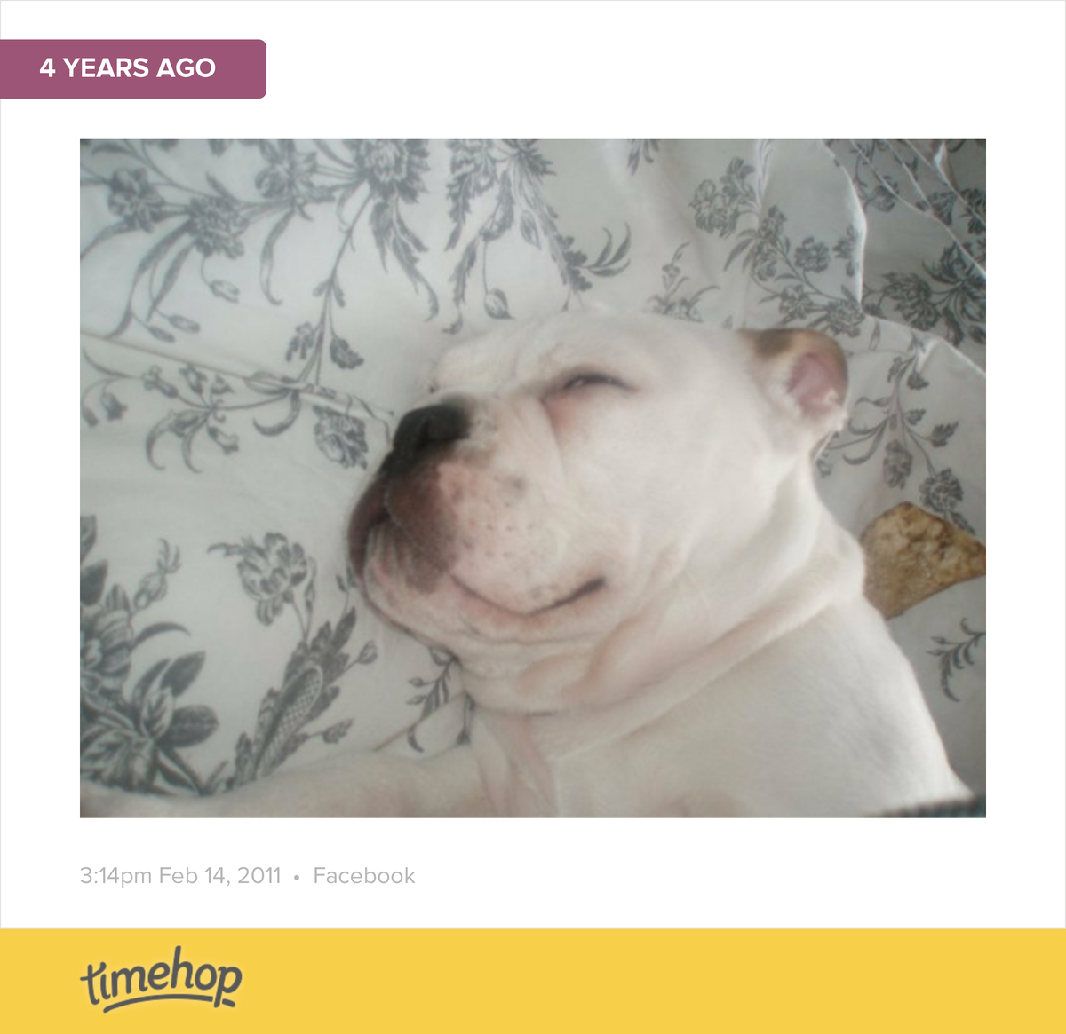 patsy_doyle's tweet image. Lulu  timehop.com/c/fup:10150092…