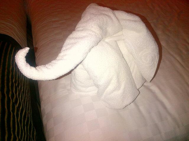 <a href="/thistleinv/">Thistle Inverness</a> ... Why didn't. You make the top 20 best towel art with this masterpiece!