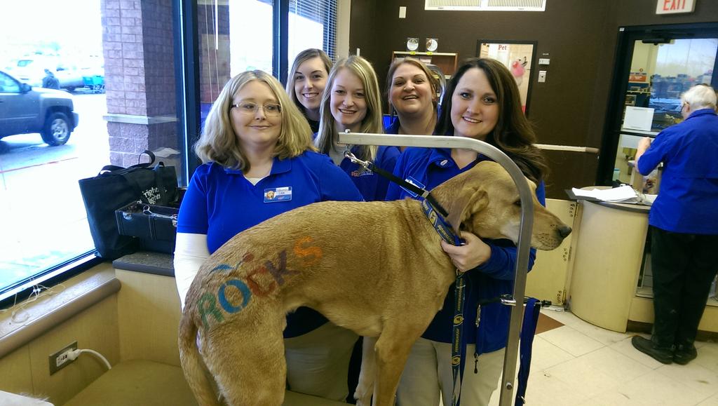 LovejoySherry's tweet photo. Max just wanted say #0671  rocks!!! #0671  #inspiredbypets http://t.co/hQND9dtiL4