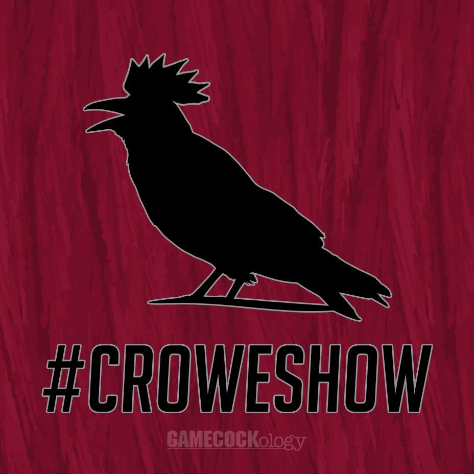 Gamecockology's tweet photo. 10 K's for @WilCrowe15 #CroweShow http://t.co/GZLJKCDQNj