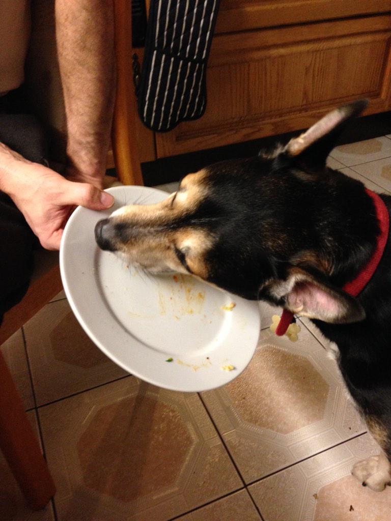 Radar2005's tweet photo. Helping my dads with their Valentine dinner by #pretreating the plates #yummy http://t.co/1IUjoheM8J