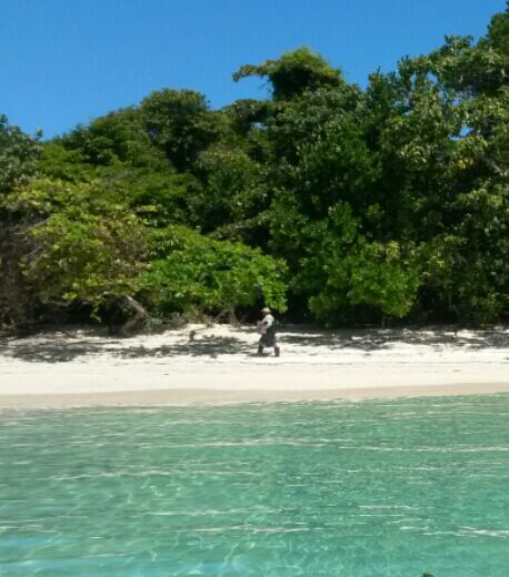 MiAmbientePma's tweet photo. ANAM, VoluntariosAmbientales, @protegeryservir y PolicíaEcológica vigilantes en los Cayo Zapatilla #DisfrutaSeguro http://t.co/uoVdI3pHUB