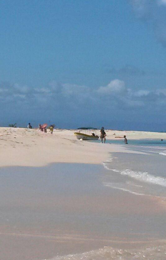 MiAmbientePma's tweet photo. ANAM, VoluntariosAmbientales, @protegeryservir y PolicíaEcológica vigilantes en los Cayo Zapatilla #DisfrutaSeguro http://t.co/uoVdI3pHUB