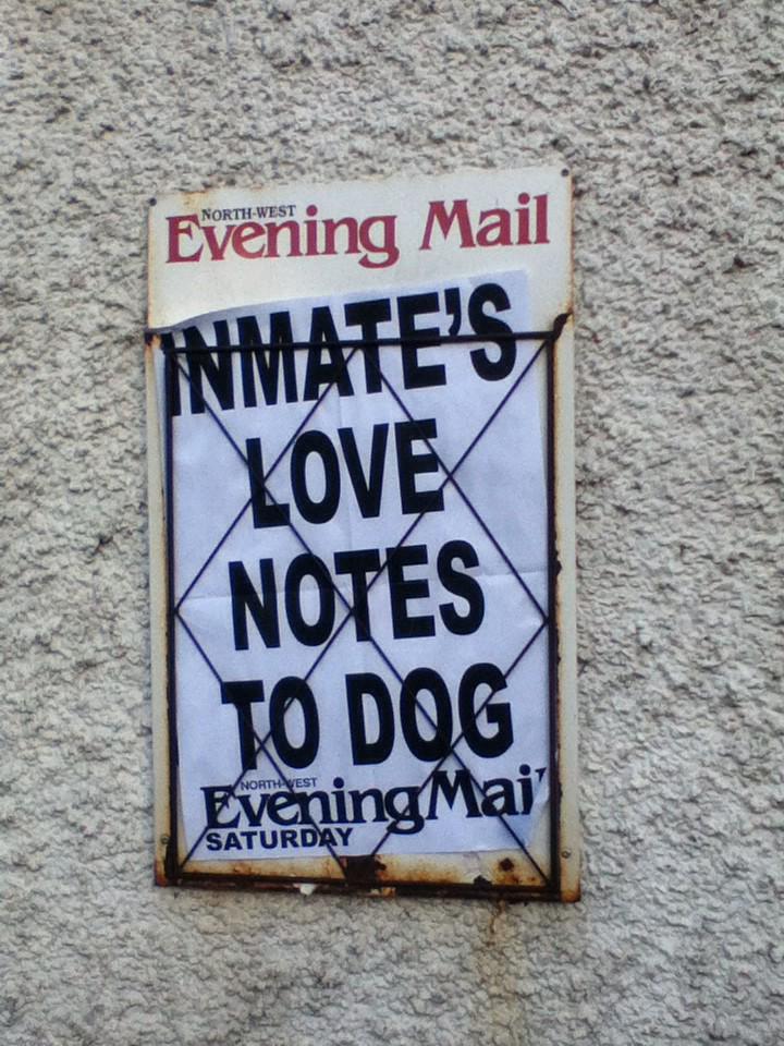 FTSEberry100's tweet photo. #ValentinesDay #eveningmail #truesentiment http://t.co/Y8cfMMVa9U