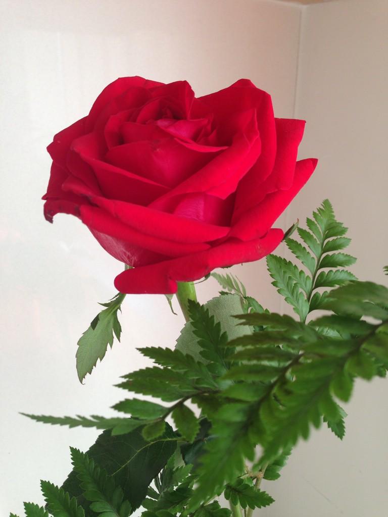 cooknpan's tweet image. #FiftyShades of chocolate ♥️♥️♥️♥️♥️♥️♥️♥️♥️♥️♥️♥️♥️#1Personal,#2Cuddles,#3Cookies&amp;amp;Chocolates. We Hug not Cuddle😊 ❤️