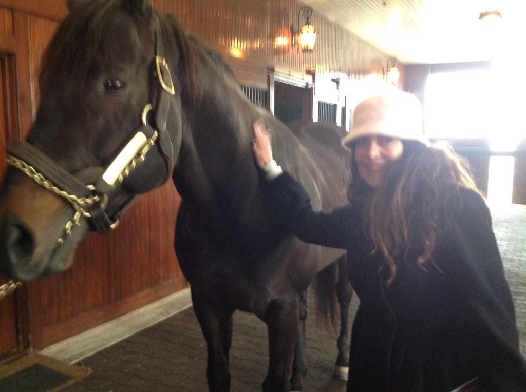 VoodoomonRacing's tweet photo. At Spendthrift! Here is Temple City, a son of Dynaformer. http://t.co/5AuAYE0VSn