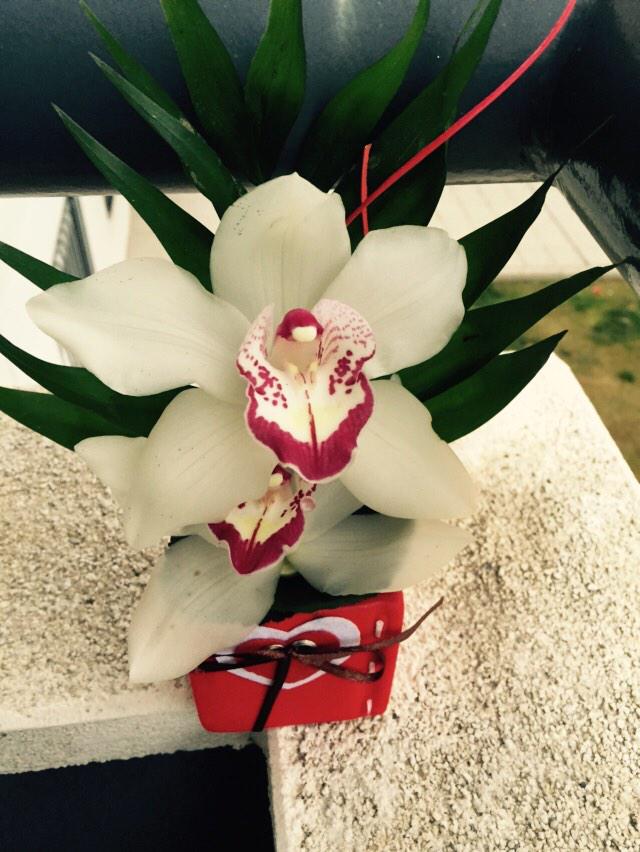 arisca85's tweet photo. Hoy San Valentín ha hecho también sus paradas en @Sprinter_es Plasencia!!! Todo un placer compartir buenos momentos http://t.co/dREyTjqPTl